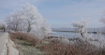 Frosted White Trees And Danube River During Winter In Galati City, Romania. Static Shot	