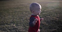 A little, happy, baby boy learning to walk in the green grass of a park in the sunrise or sunset sunlight.