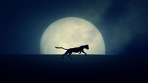 Cat Running on a Rising Full Moon Background