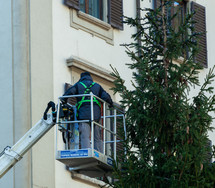 Florence, Italy - December 03, 2023: Christmas tree installation in the central square of Florence. Workers on lifting platforms mount the Christmas lights.