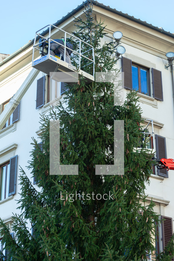 Florence, Italy - December 03, 2023: Christmas tree installation in the central square of Florence. Workers on lifting platforms mount the Christmas lights.