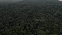 Thicket Rainforest At Punta Mona Archipelago In The Caribbean Coast Of Costa Rica. - Aerial Drone Shot	