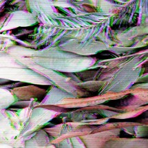 Abstract, glitchy leaves