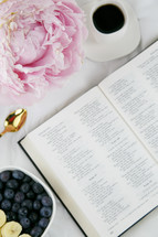 open Bible and bowl of fruit 
