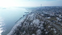 Frozen Trees And Coastal Road Along Danube River In Galati, Romania. Aerial Drone Shot	