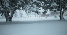 Slow motion Christmas snow scenery. Winter snow storm with trees and road covered in snowflakes falling in cinematic slow motion. 