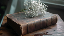 Old Bible on vintage wooden table with some leaves and little white flowers against black wall background