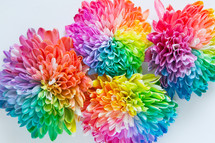 rainbow flowers 