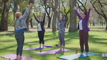 Group of mature women in sportswear walking to green lawn in the park, unrolling exercise mats and preparing for outdoor yoga class in the park