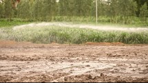 irrigating the farmland 
