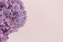 vase of purple hydrangeas 