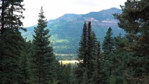 Trees in Foreground with Mountain View.