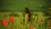 Jesus walking alone through poppy field. Blur and Medium Shot.

