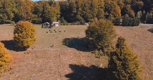 Aerial View Of The Camping Ground Surrounded With Thick Forest During Autumn Season.