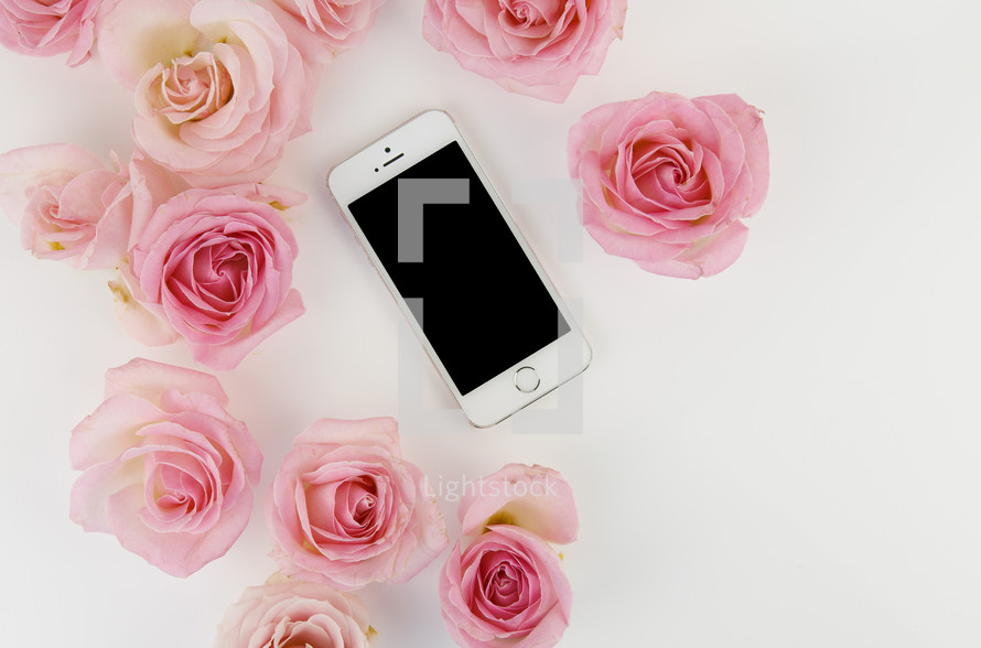 pink roses and cellphone on a white background 