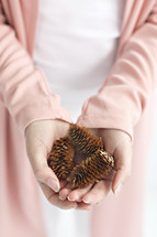 pine cones in cupped hands 