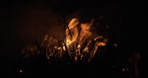 Grass fire in slow motion in field. Orange flames burning at night in cinematic slow motion.