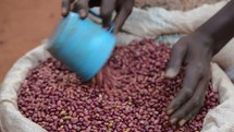 scooping beans in a Uganda market