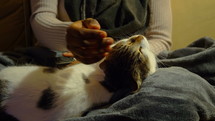 a woman sitting on a couch petting a cat 
