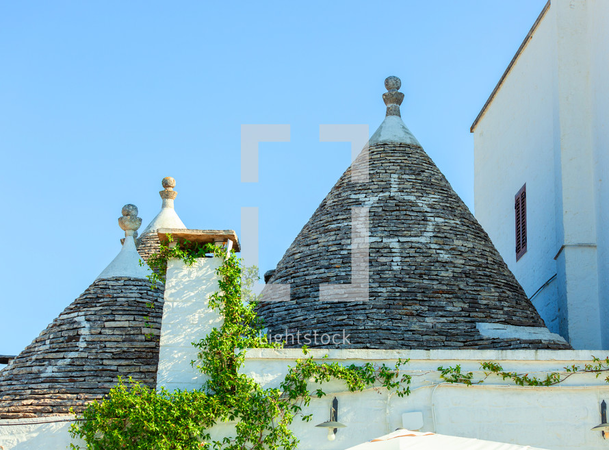 Traditional conical rooftops of trulli houses with a white wall covered by ivy in alberobello, puglia, italy