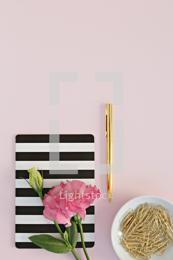 pink carnation, striped journal, paperclips, and pen 