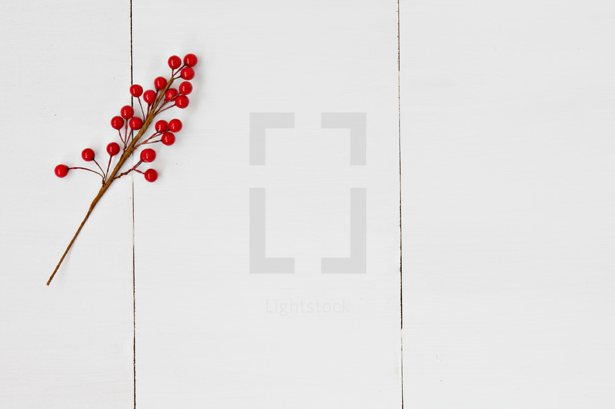 red berries on white 