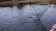 Fisherman Reeling In Fish At Lake