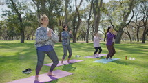 Female teacher and group of middle aged women standing on mats with knees lightly bent and holding hands in Namaste during yoga class on green law in the park. Full shot
