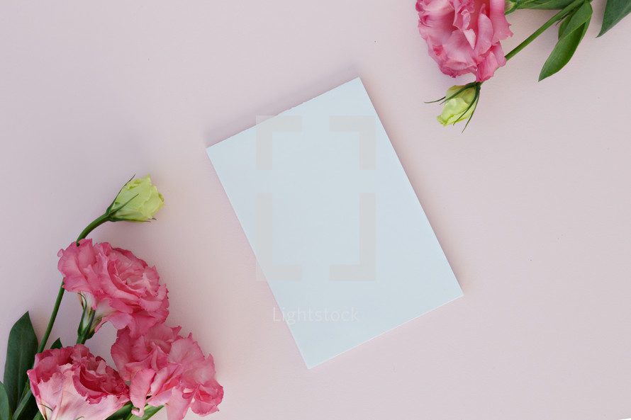 pink carnations and blank white envelope 