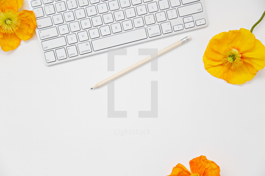 computer keyboard, pencil, and yellow and orange poppies on white 