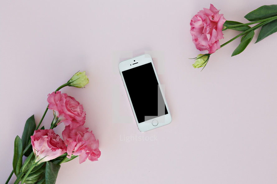 pink carnations and cellphone 