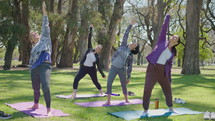 Mature women in sportswear standing in the park and doing shoulder circles during group fitness class outdoors