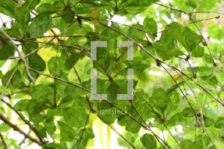 green leaves on branches with painterly effect