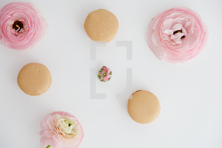 pink flowers and macaroons 