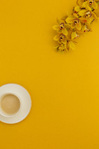yellow orchids on a yellow background and latte 