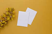yellow orchids on a yellow background and stationary 