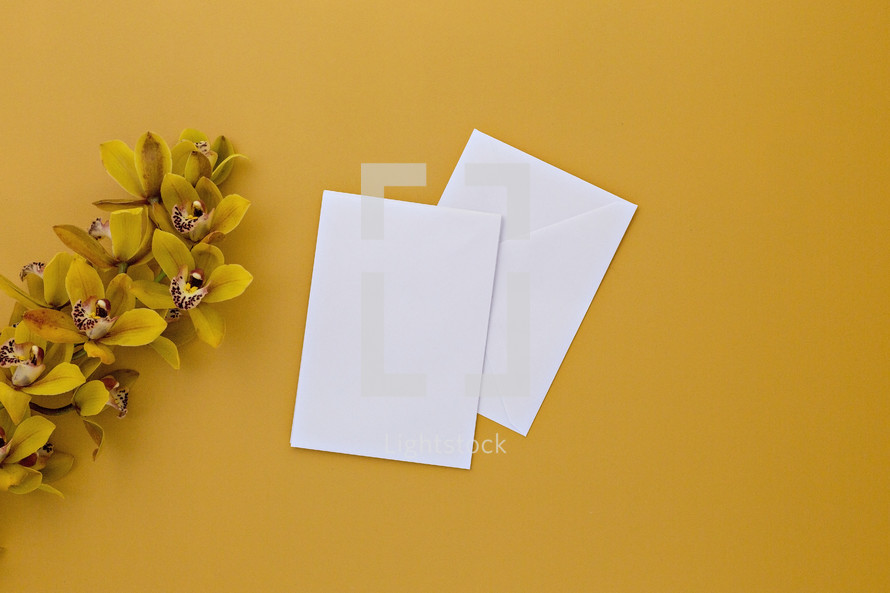yellow orchids on a yellow background and stationary 