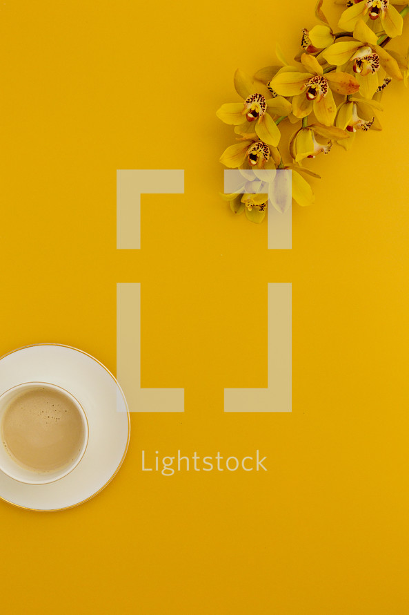 yellow orchids on a yellow background and latte 