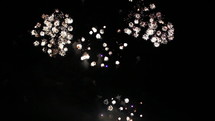 fireworks display in the night sky 