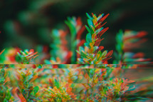 green leaves on a bush glitch art 