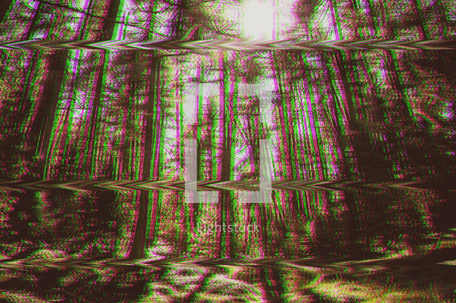 out of focus forest background 