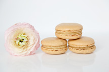 pink flower and macaroons 