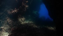 Underwater Caves exploration in the South of the Egyptian Red Sea
