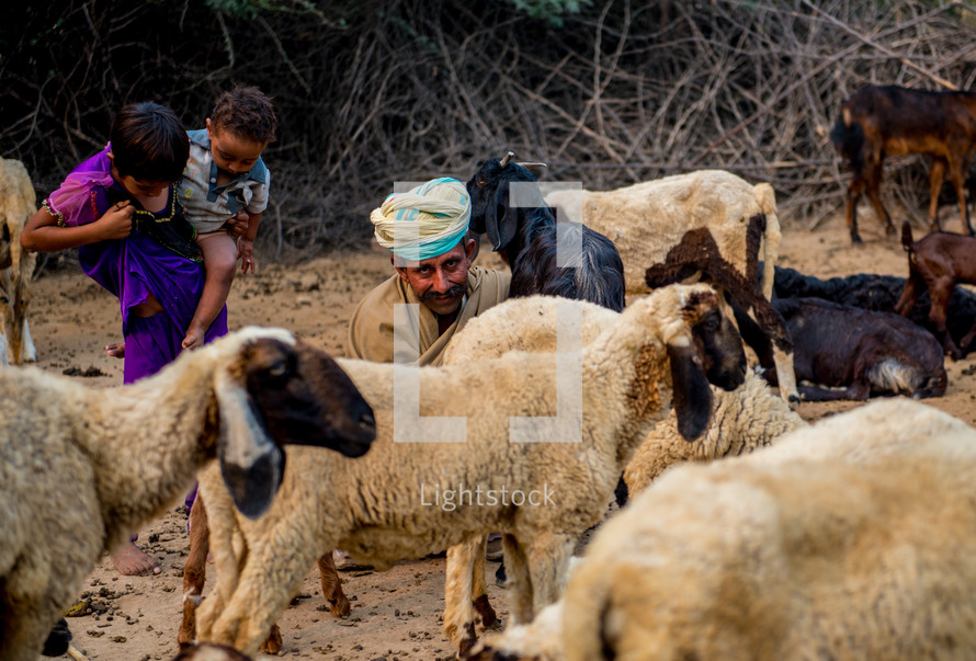 shepherd in India 