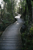 walkway through the woods, vertical scene