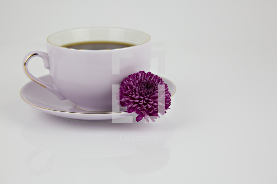 coffee cup and saucer with purple mum 