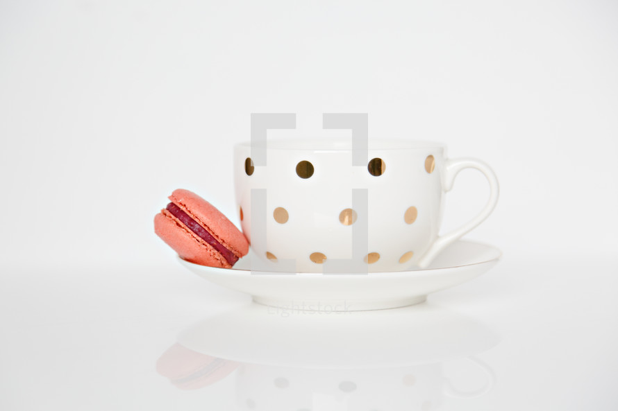 macaroon and tea cup 