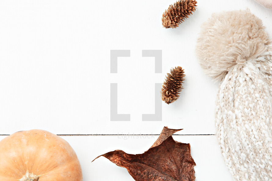 pumpkin, leaf, blanket, and pine cones for fall 