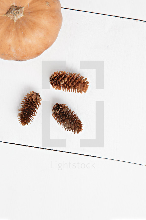 pine cones and orange pumpkin on a white wood background 