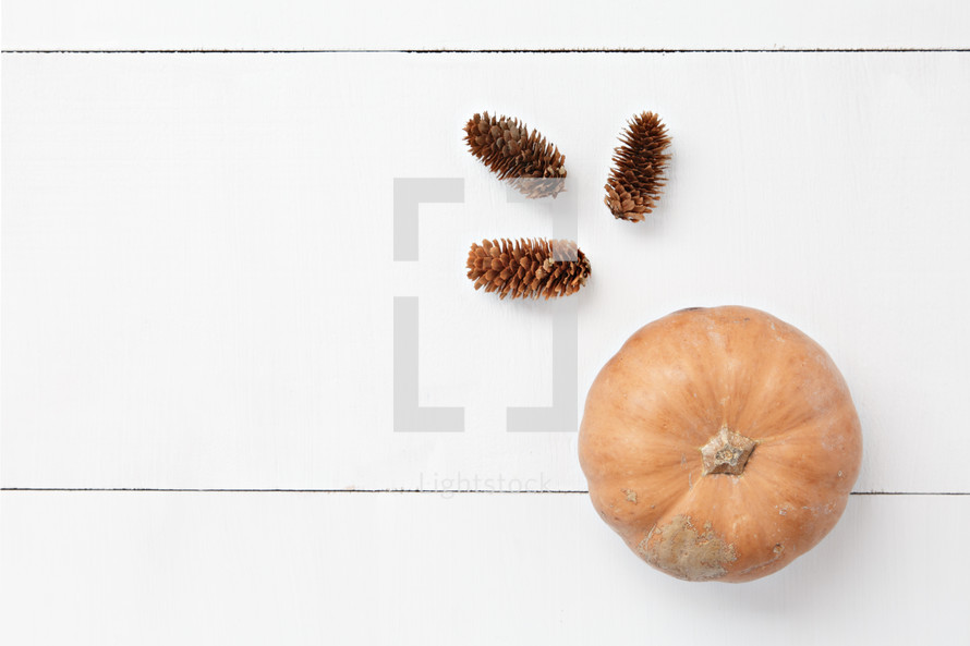 pine cones and orange pumpkin on a white background 